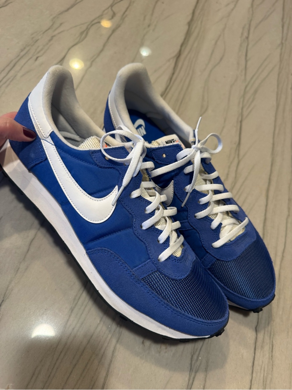 Nike Blue and White Retro Runner Sneakers